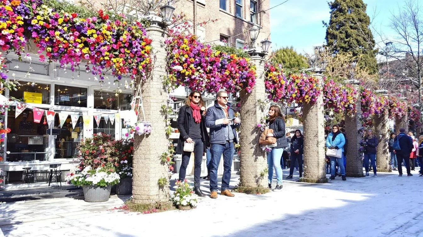 Frostgeplagte Rotkehlchen im Garten: So gewinnst du sie mit passender Fütterung jeden Tag zurück